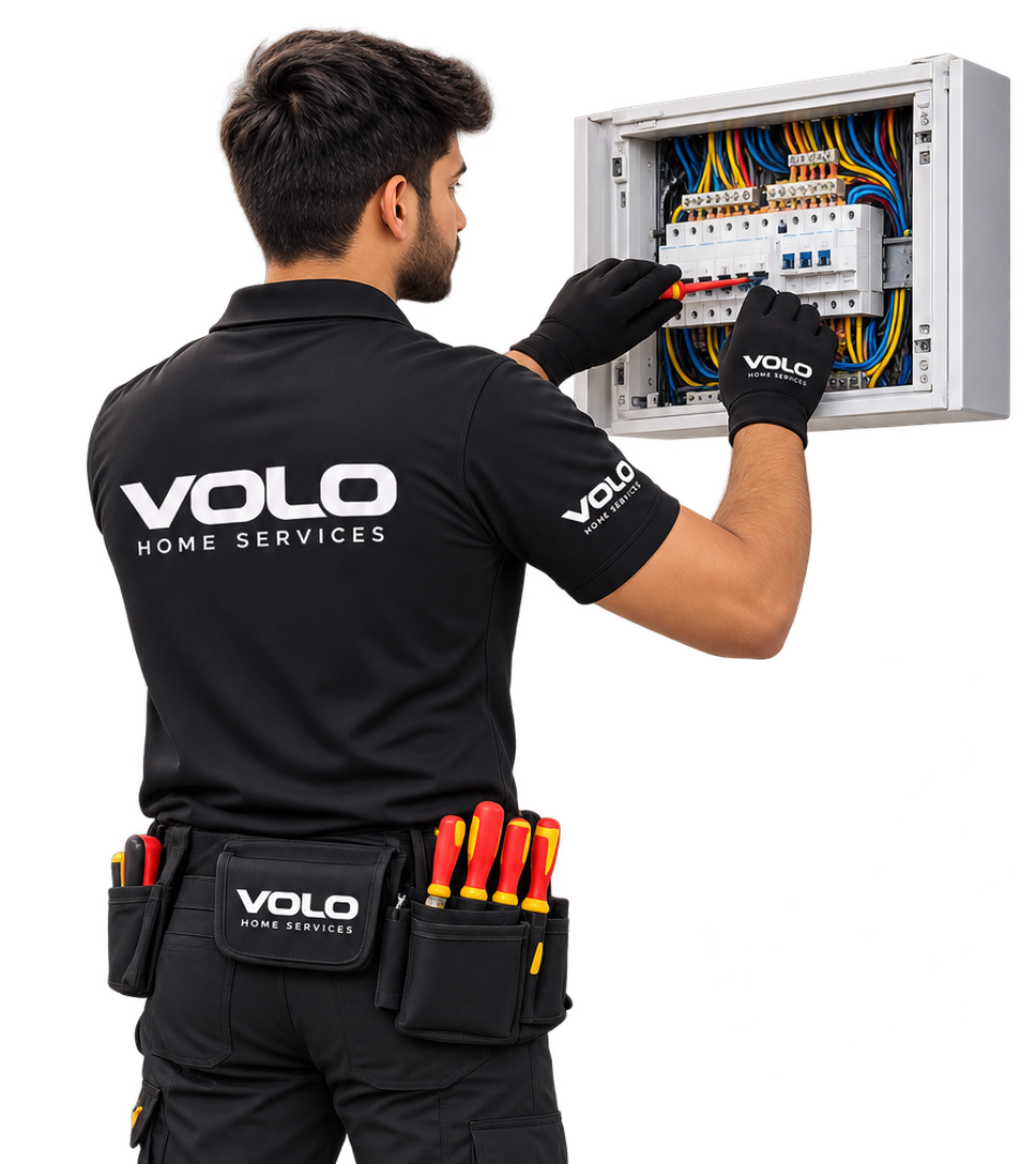 VOLO Professional Partner